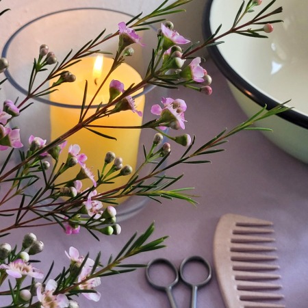 symbolbild aufbahrung zu hause unterstützung