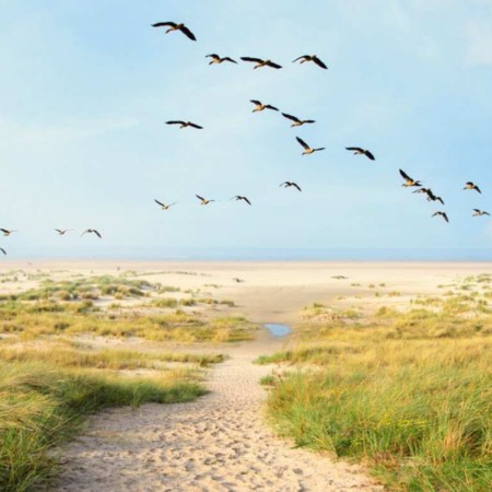 symbolbild death doula berlin