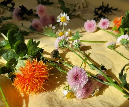 symbolbild home vigil wake berlin