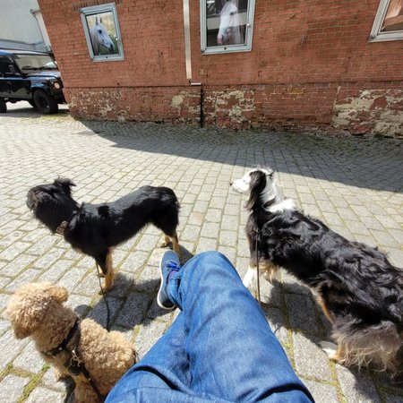 diskriminierung im sterbeprozess