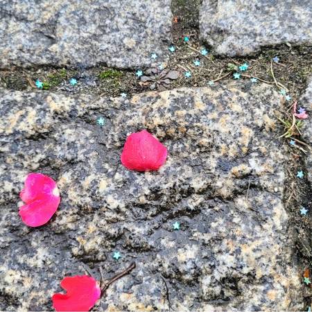 queer death begleitung und beratung